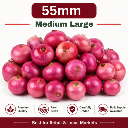 55mm Onion - Dev Tandoor Industries